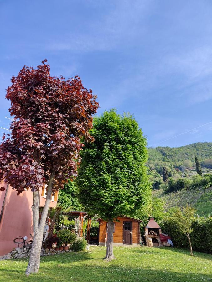 Casa Vacanze Monte Villa Пьеве-ди-Солиго Экстерьер фото